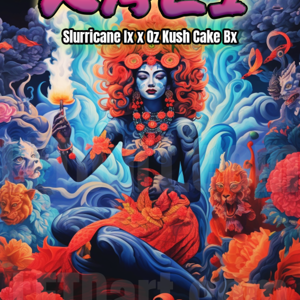 Kali F1 Huckleberry Genetics