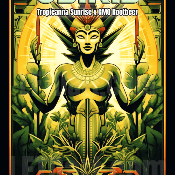 Osiris Huckleberry Genetics