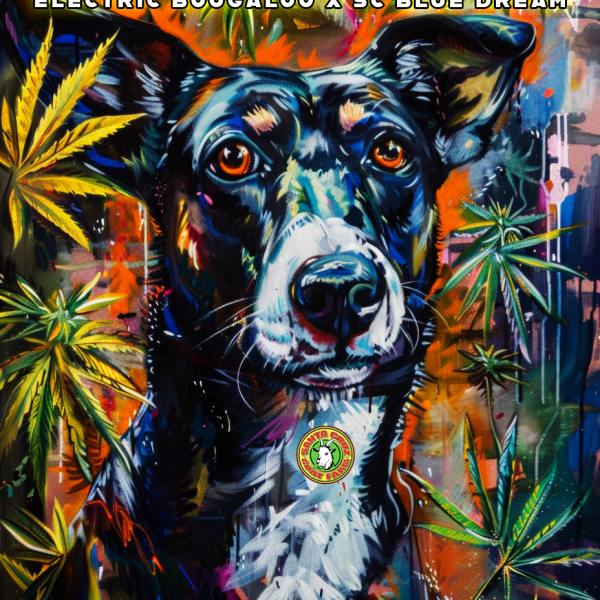 SC Dogshit by Santa Cruz Goat Farm